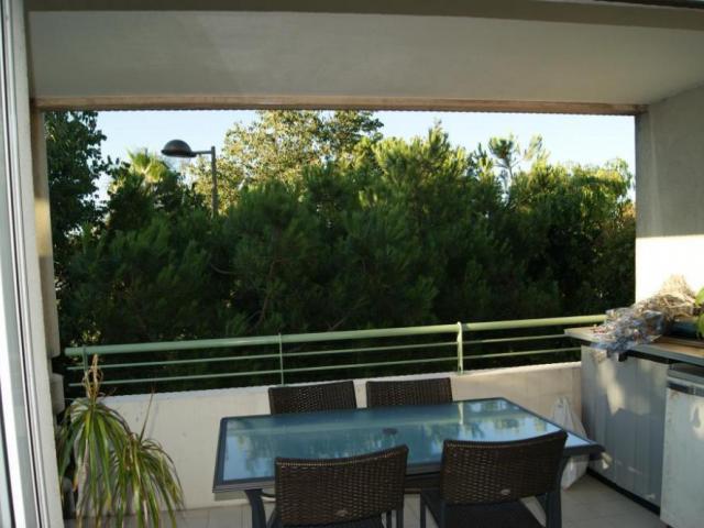 Вид с террасы Вид с террасы